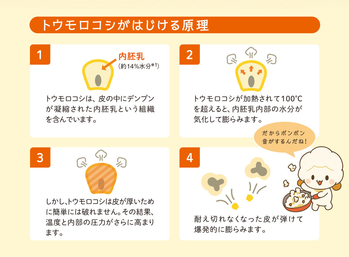 グラフ①