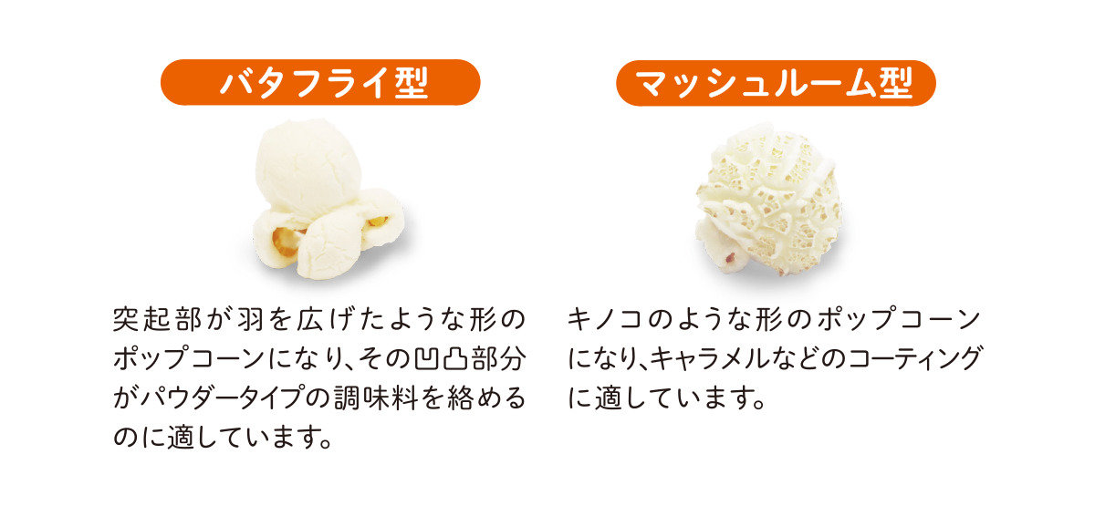 グラフ②