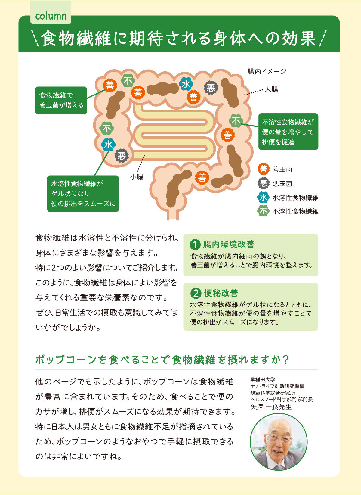 グラフ③